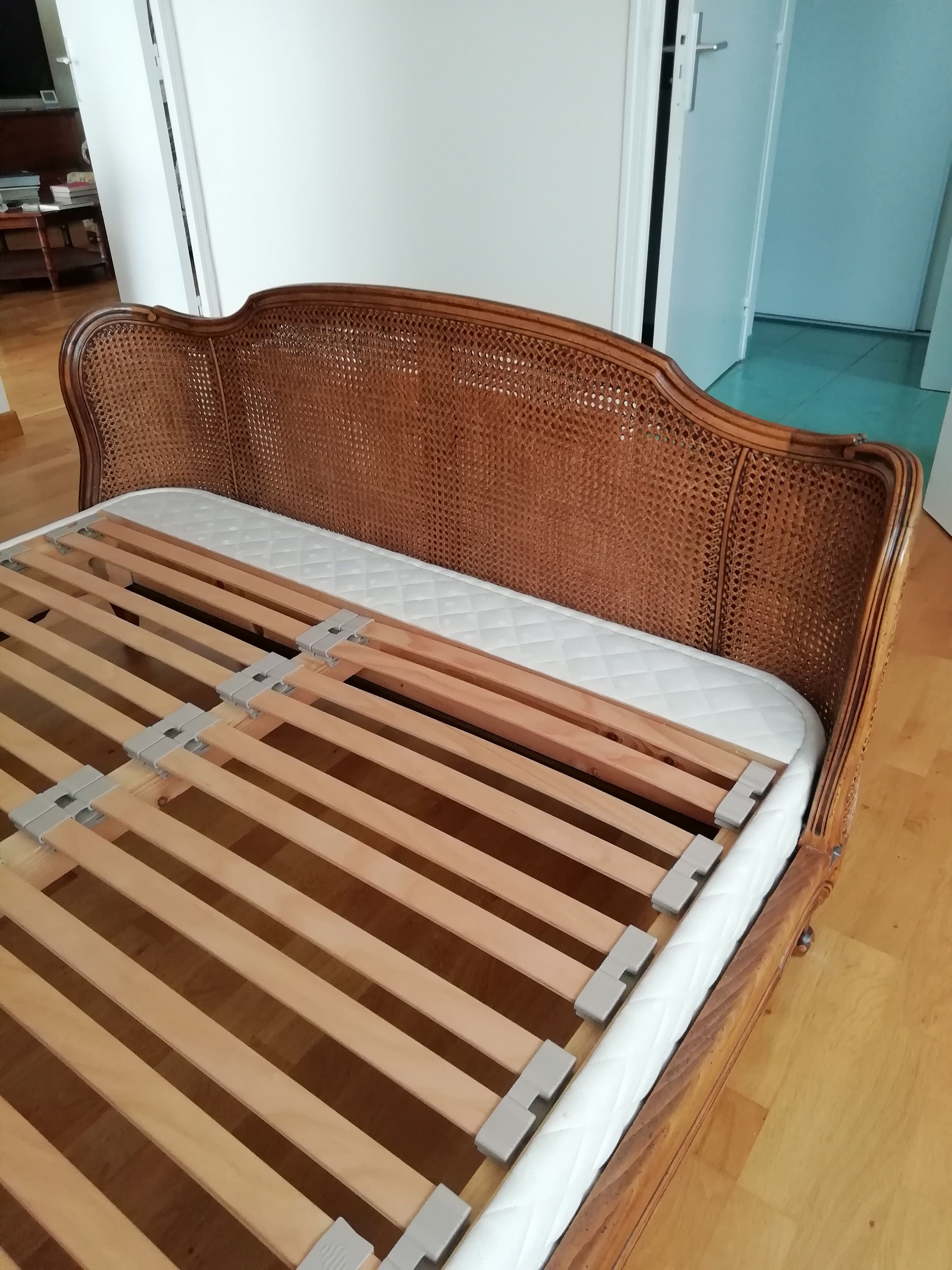 Bed and box spring canna