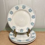 Assiettes Sarreguemines en terre de fer