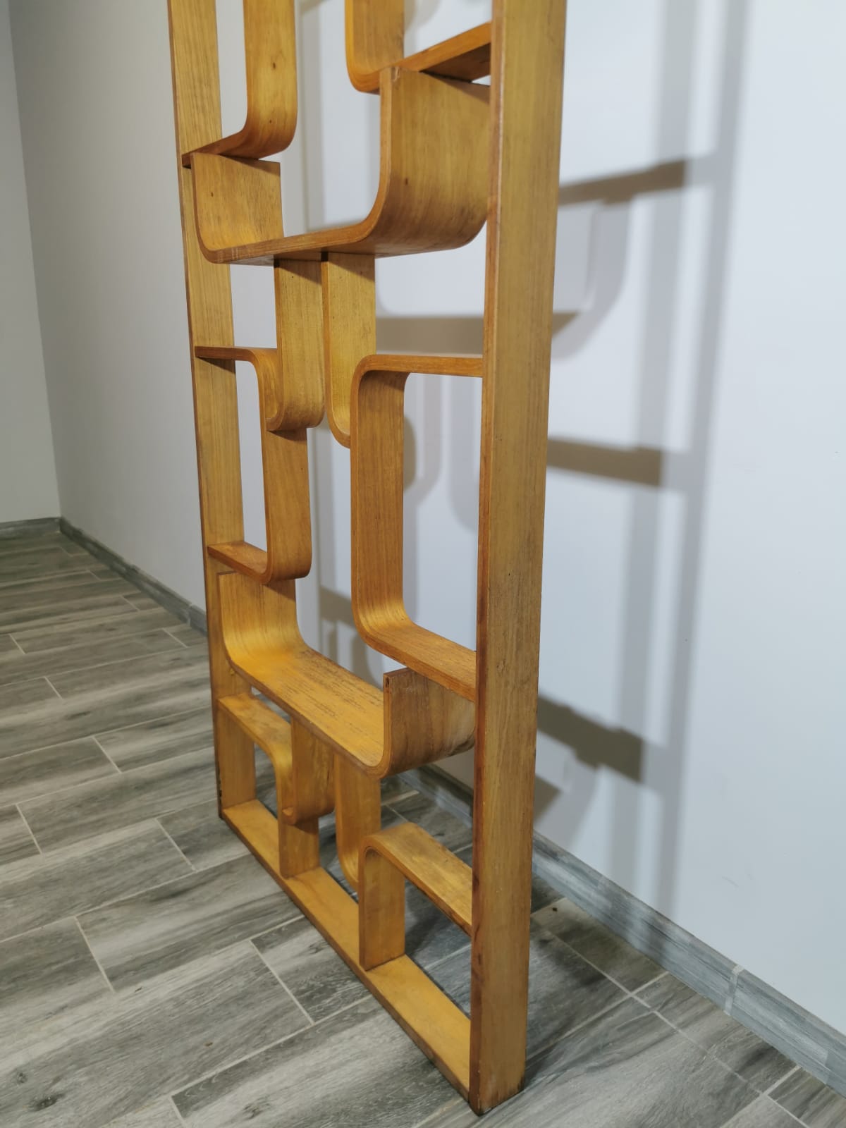 Room Divider by Ludvik Volak for Drevopodnik Holesov