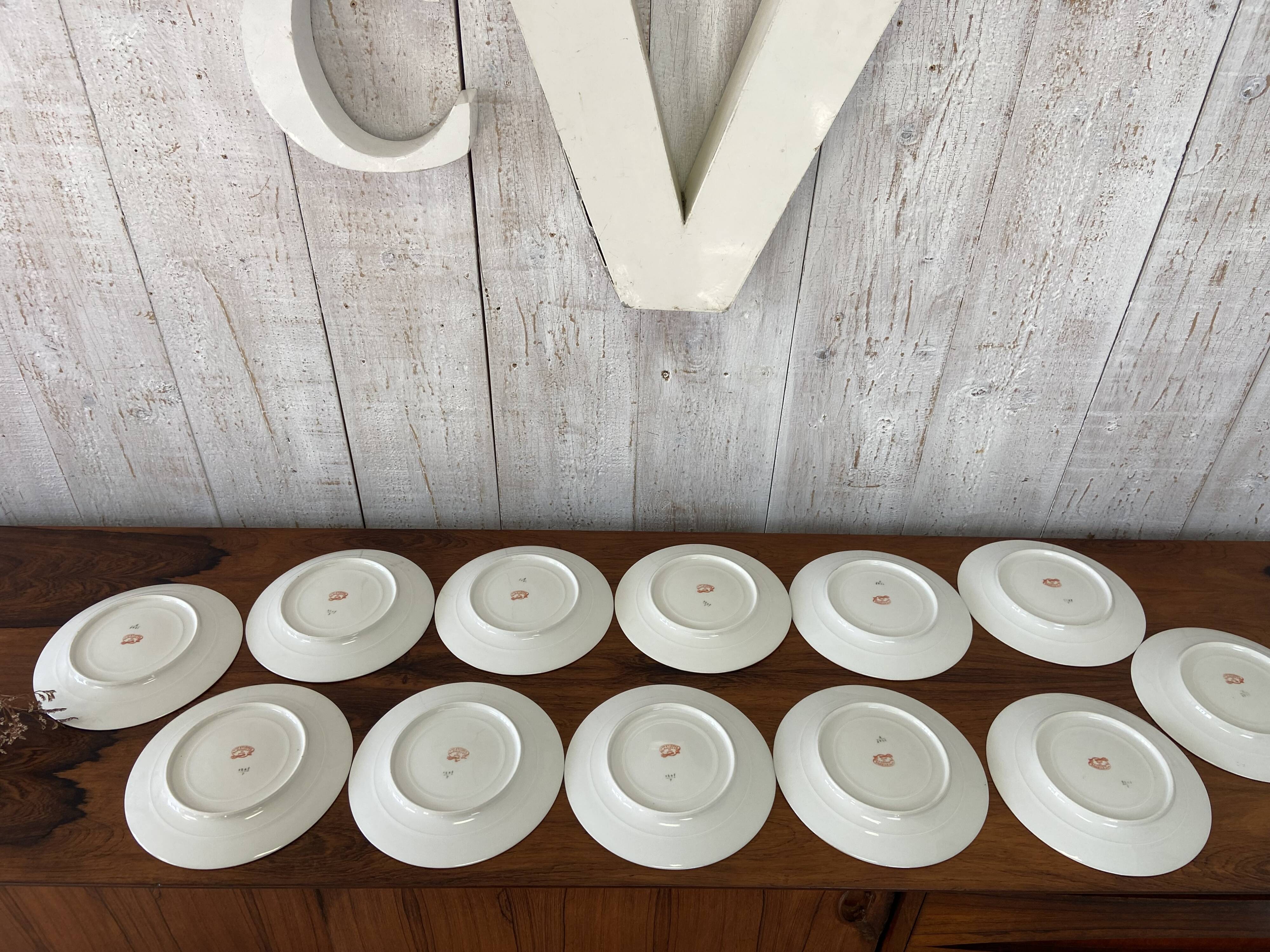 12 porcelain plates, 22cm diameter