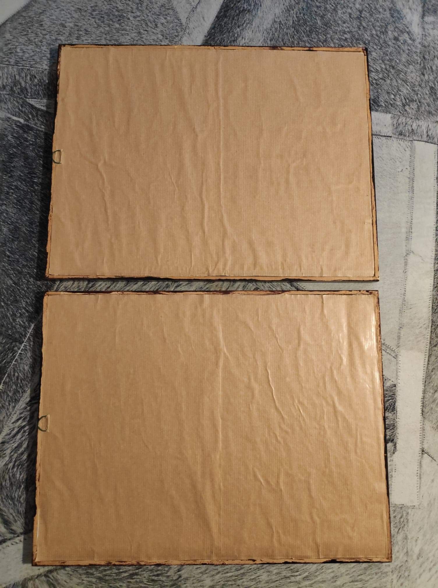 Ancient bird lithographs J and E Gould, brown wooden frame