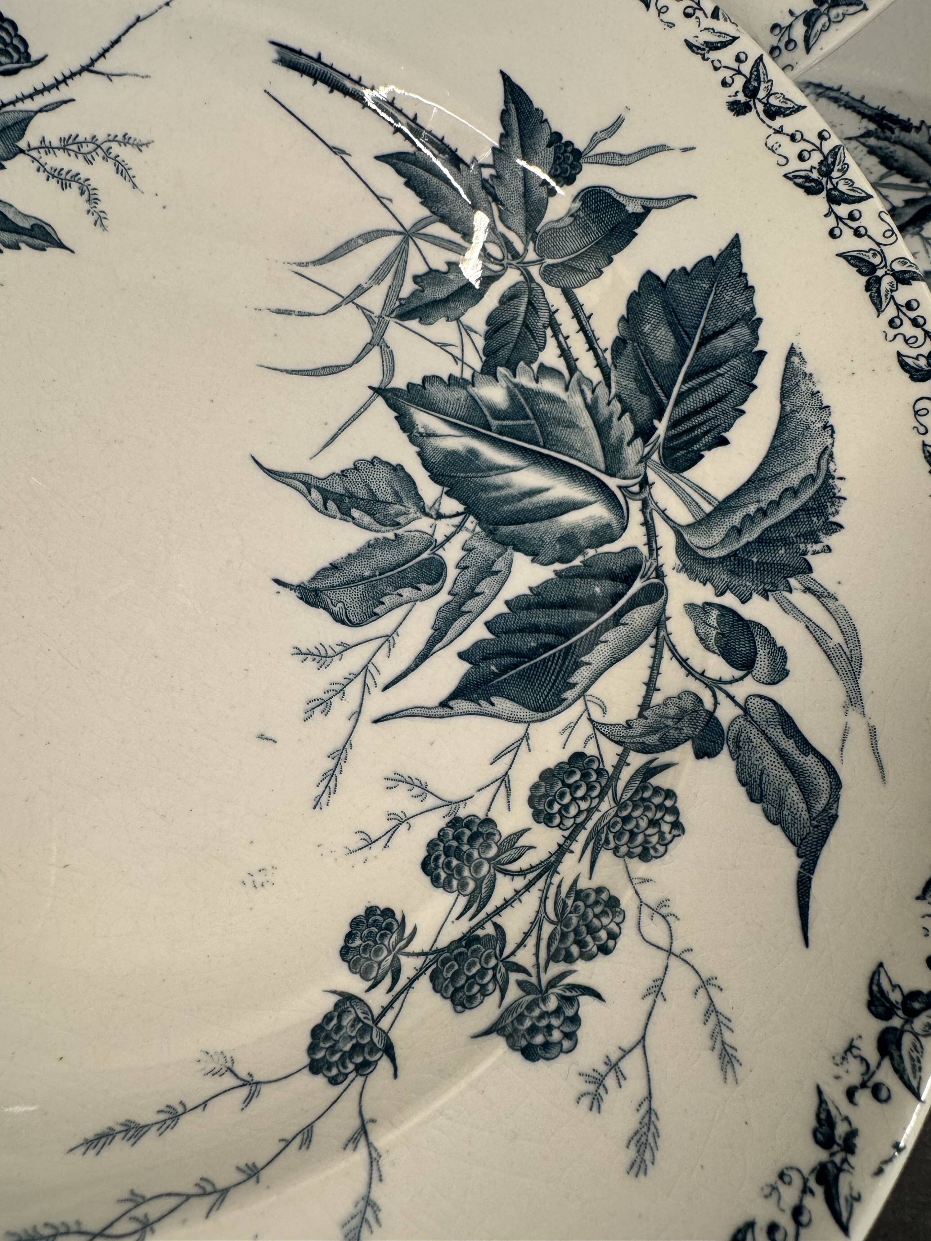 6 deep plates in ironstone "Mûre" Badonviller