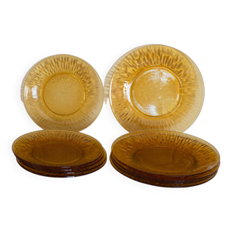 Set of 10 Vereco amber glass sunflower plates