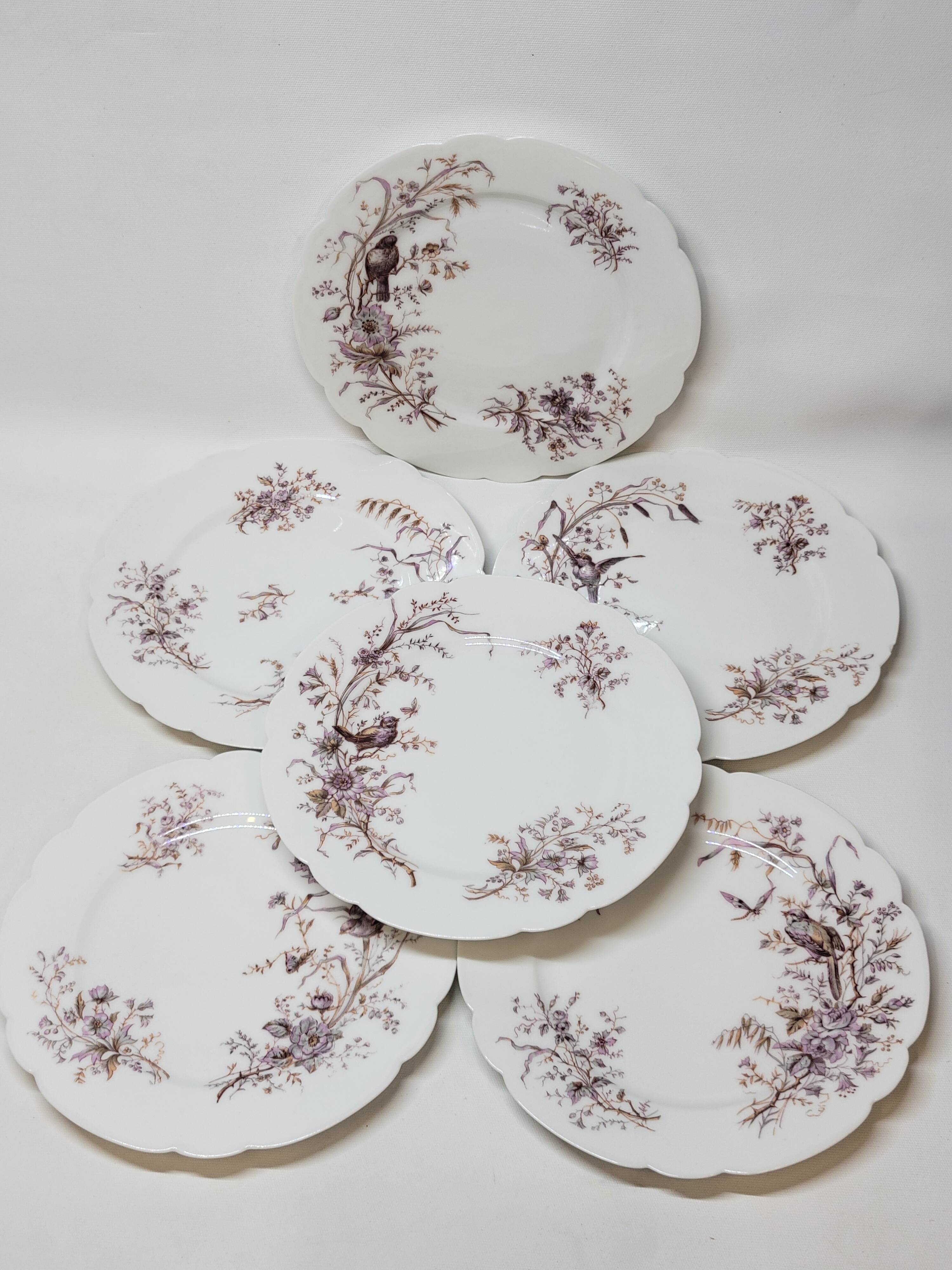 6 Superb Antique 19th Century White Porcelain Plates with Bird Decor