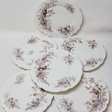 6 Superbes Assiettes Anciennes XIXème En Porcelaine Blanche Décor Oiseaux