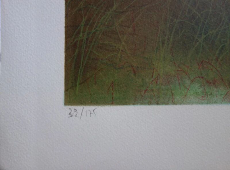 Daniel Gallais: Aurora Japan, original signed lithograph