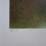 Daniel Gallais: Aurora Japan, original signed lithograph