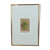 Framed botanical illustration - hawthorn &co
