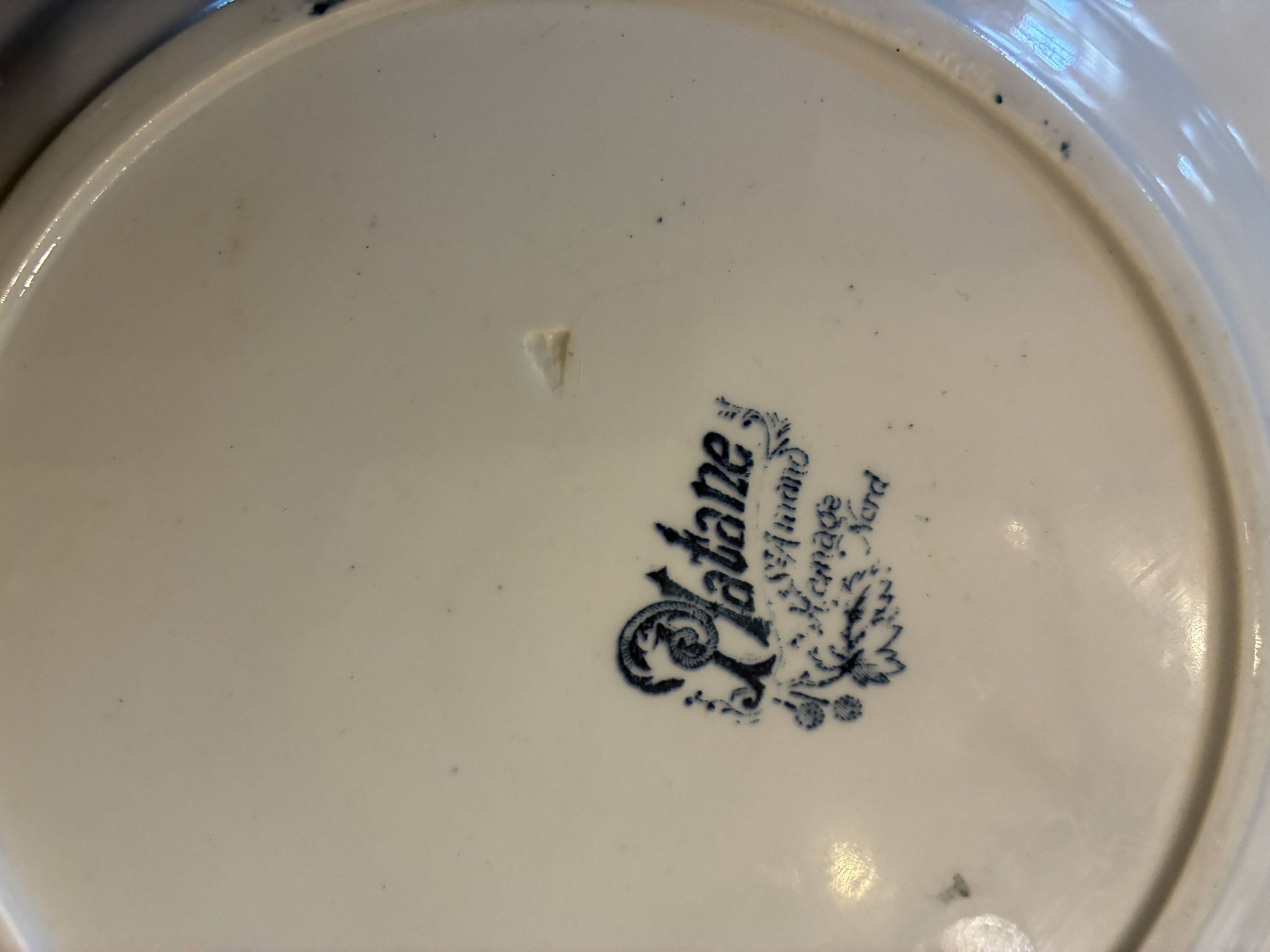 Lot de 5 assiettes plates Saint Amand Terre de Fer