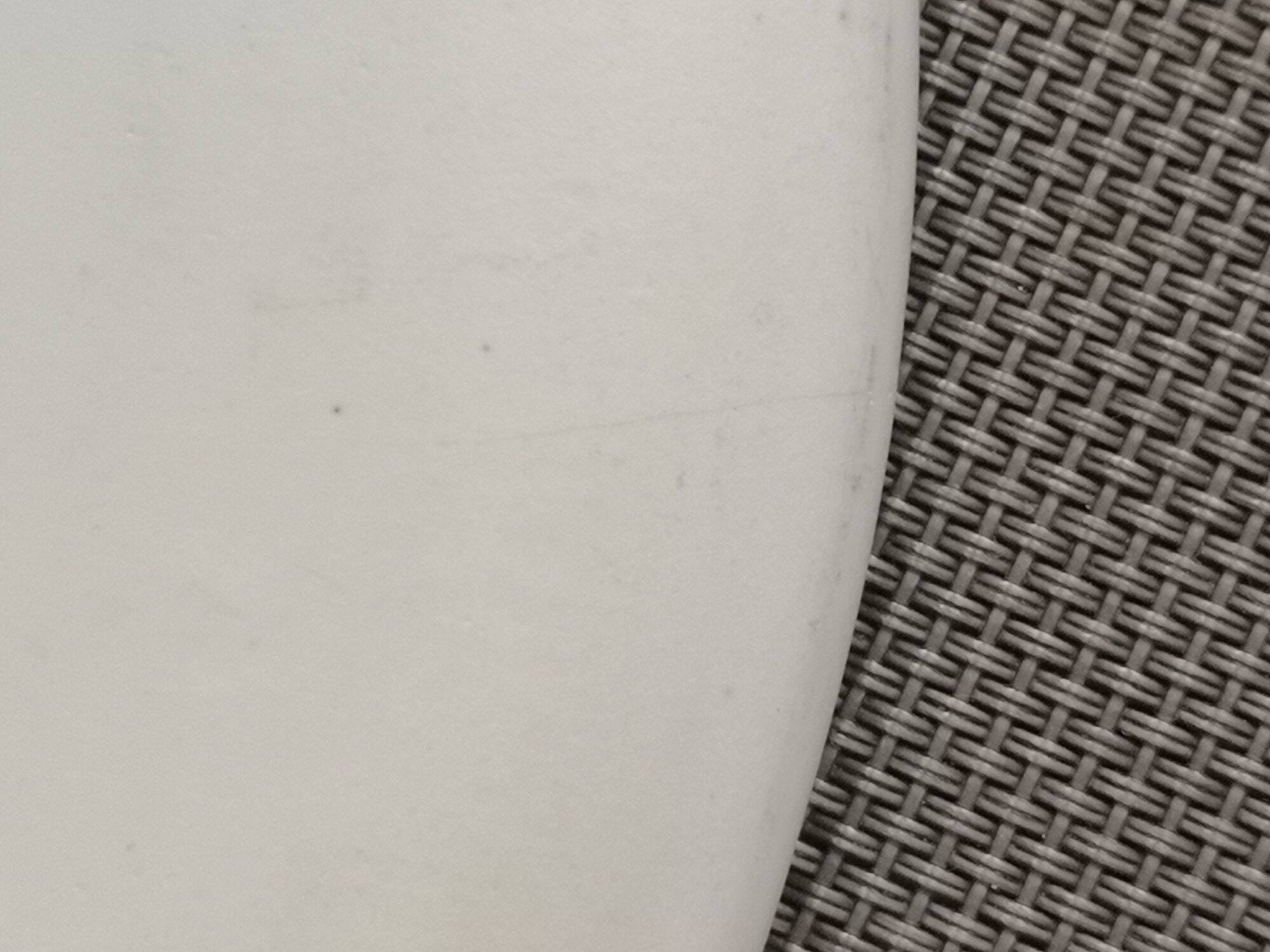 Enamelled ceramic plate with fish decoration - Gérard Hofmann - Vallauris - 1950s