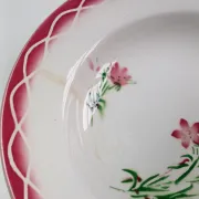Digoin Sarreguemines 6 plates & a deep dish "Aude".
