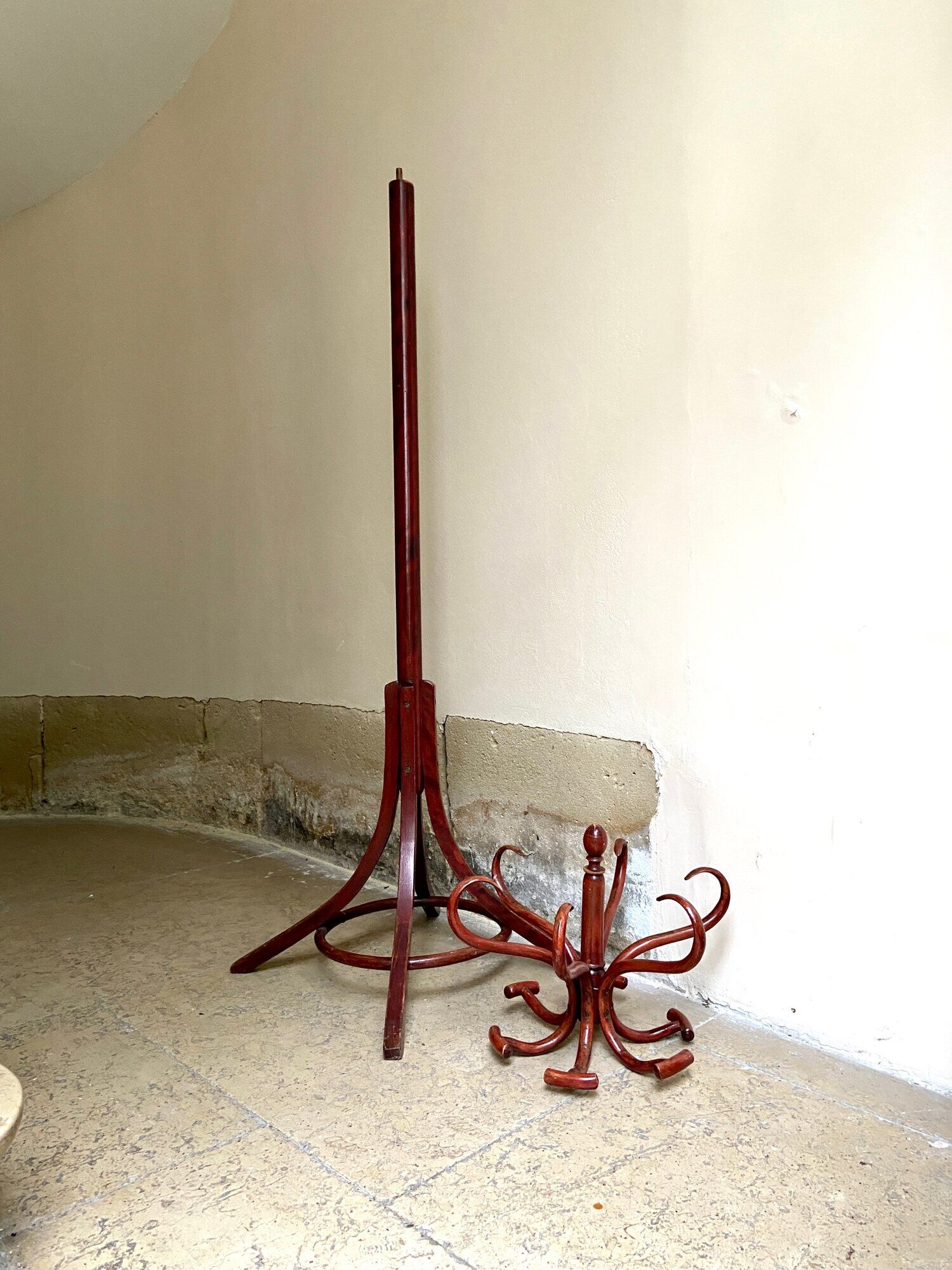 Parrot coat rack in arched beech