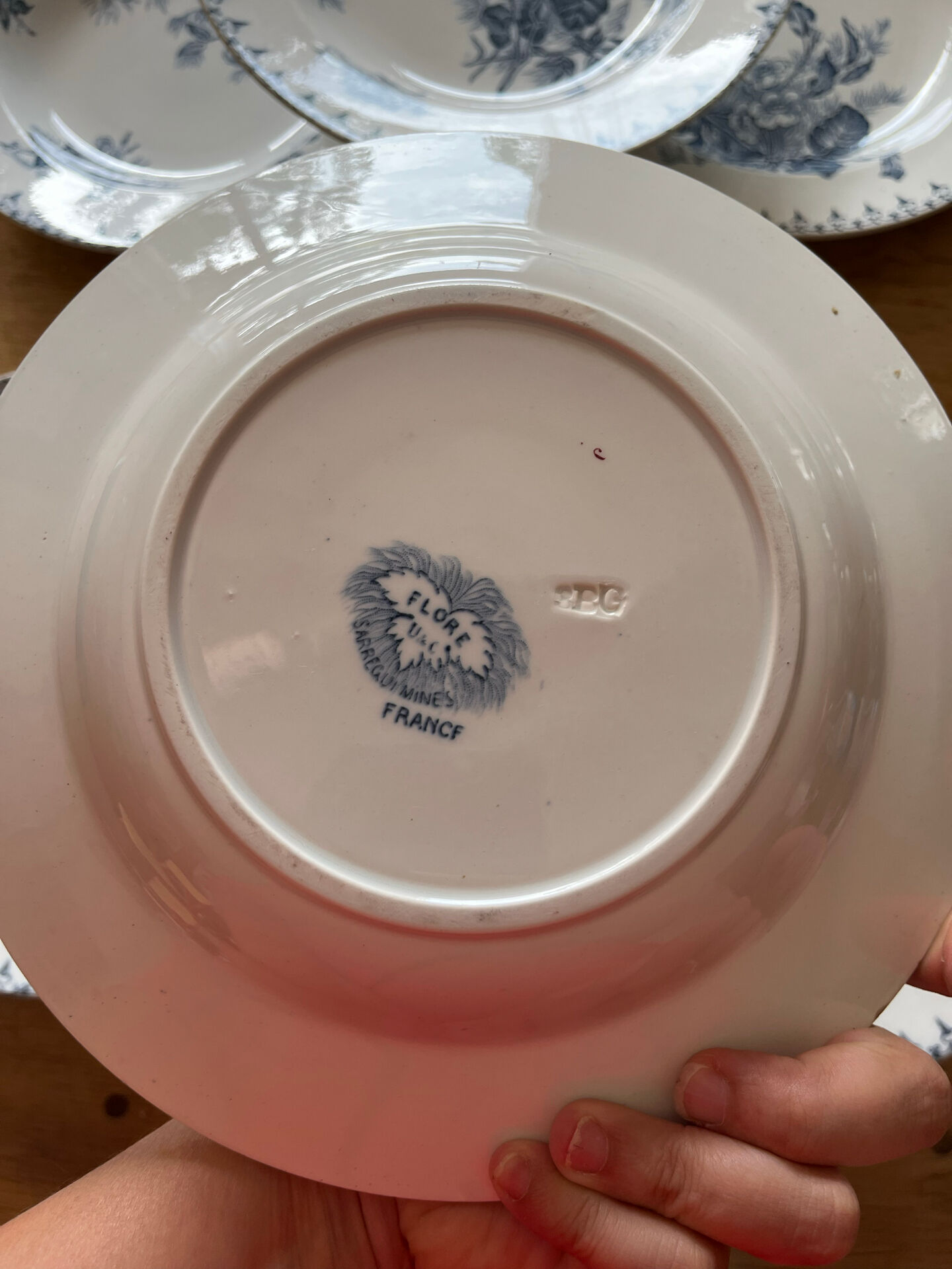 6 assiettes terre de fer 