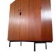 Pastoe KU14 wardrobe by Cees Braakman