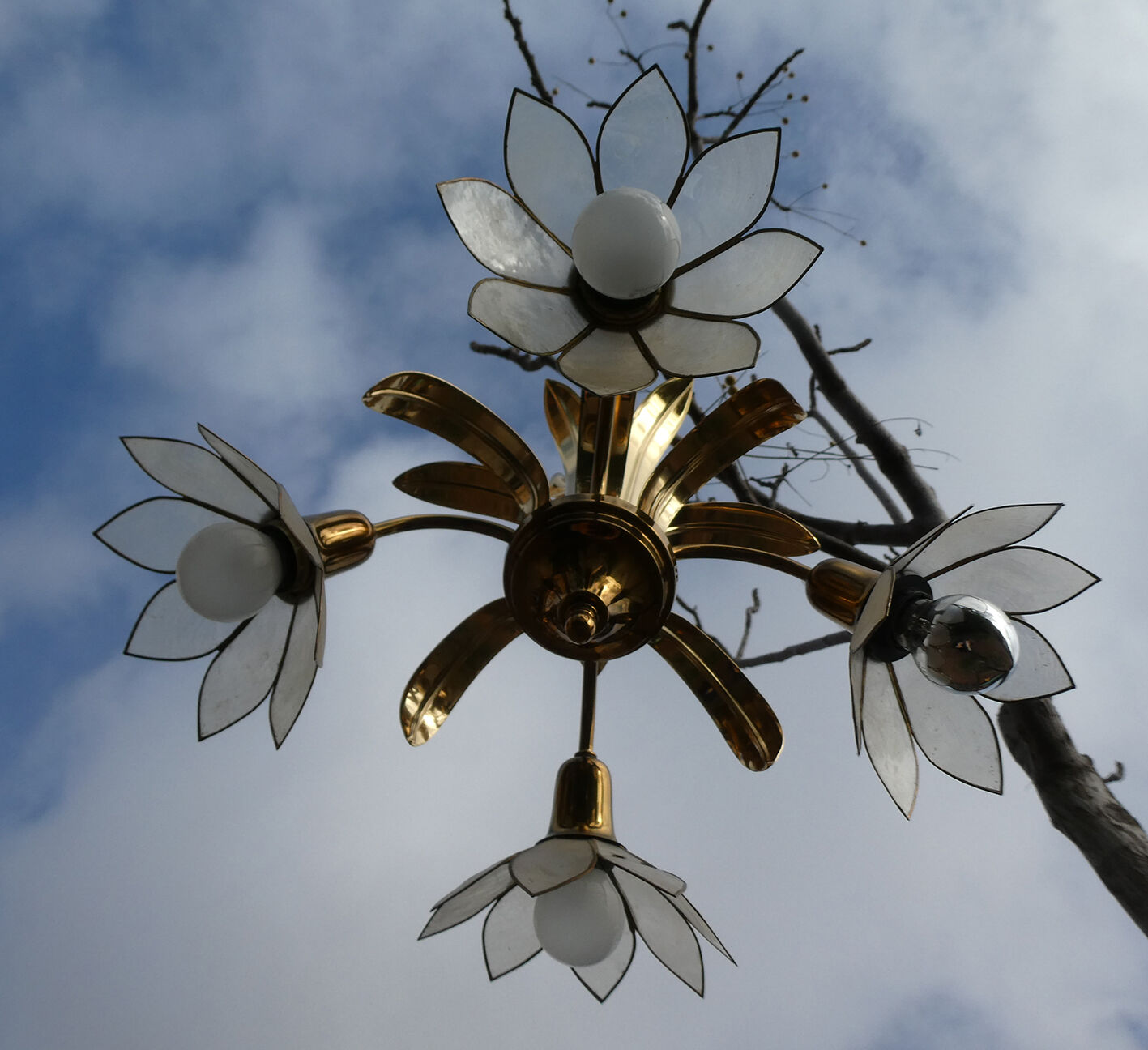 Brass chandelier and flowers in mother-of-pearl petals