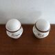 Villeroy & Boch set Huilier - vinaigrier - mustard maker signed Botanica