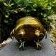 Baroque lion brass jardinière