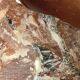 Empty pockets alabaster natural stone