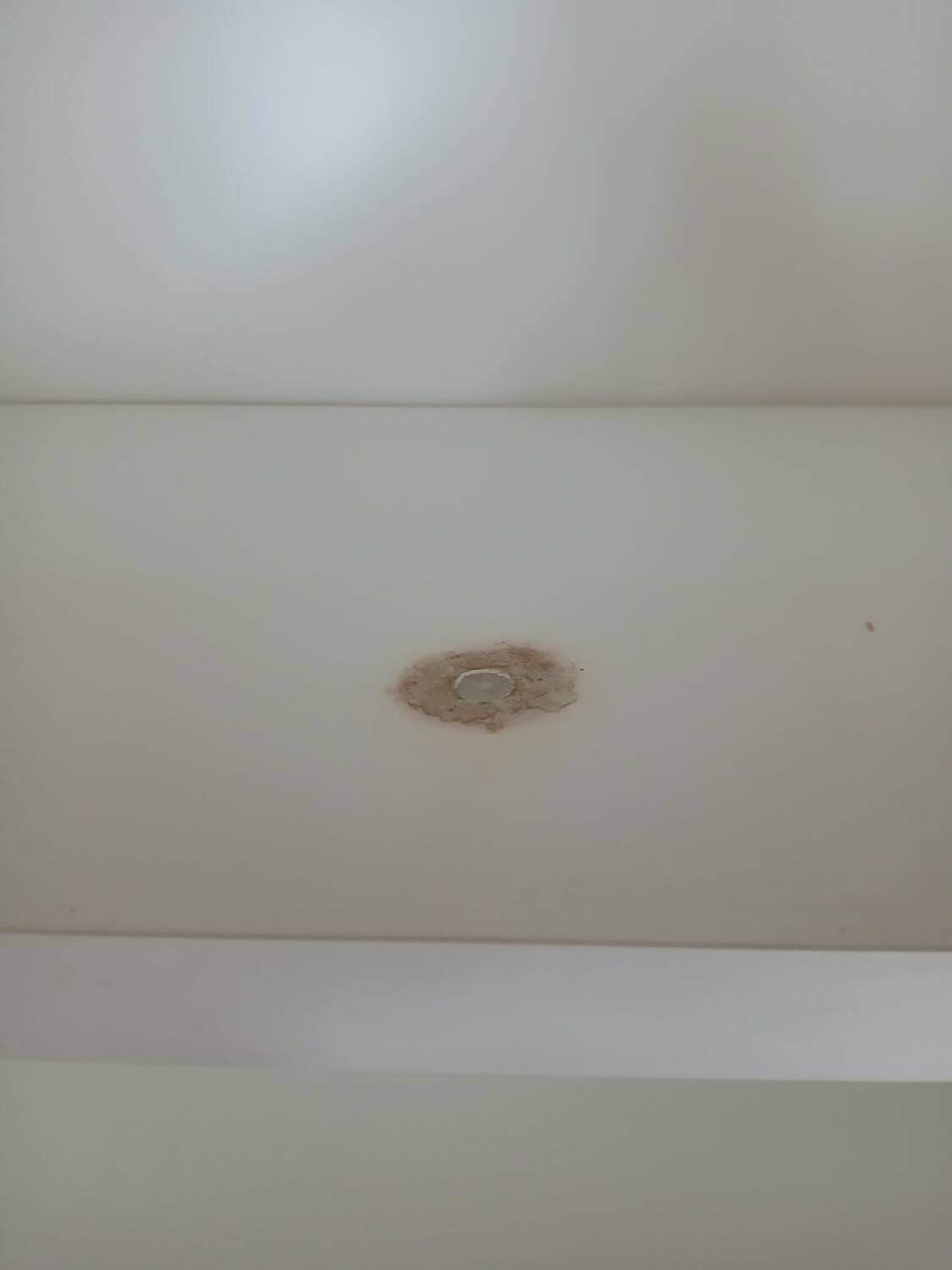 Gautier corner library – contemporary white lines