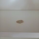 Gautier corner library – contemporary white lines