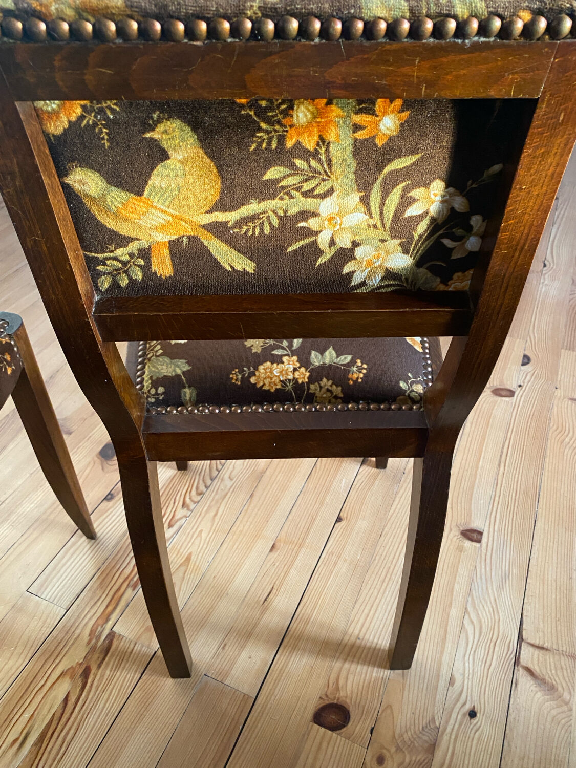 Set de 2 chaises vintage en velours oiseaux 1960-1970, état comme neuf.