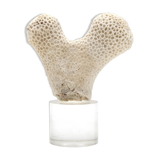 Coral bench on resin base, 1970s