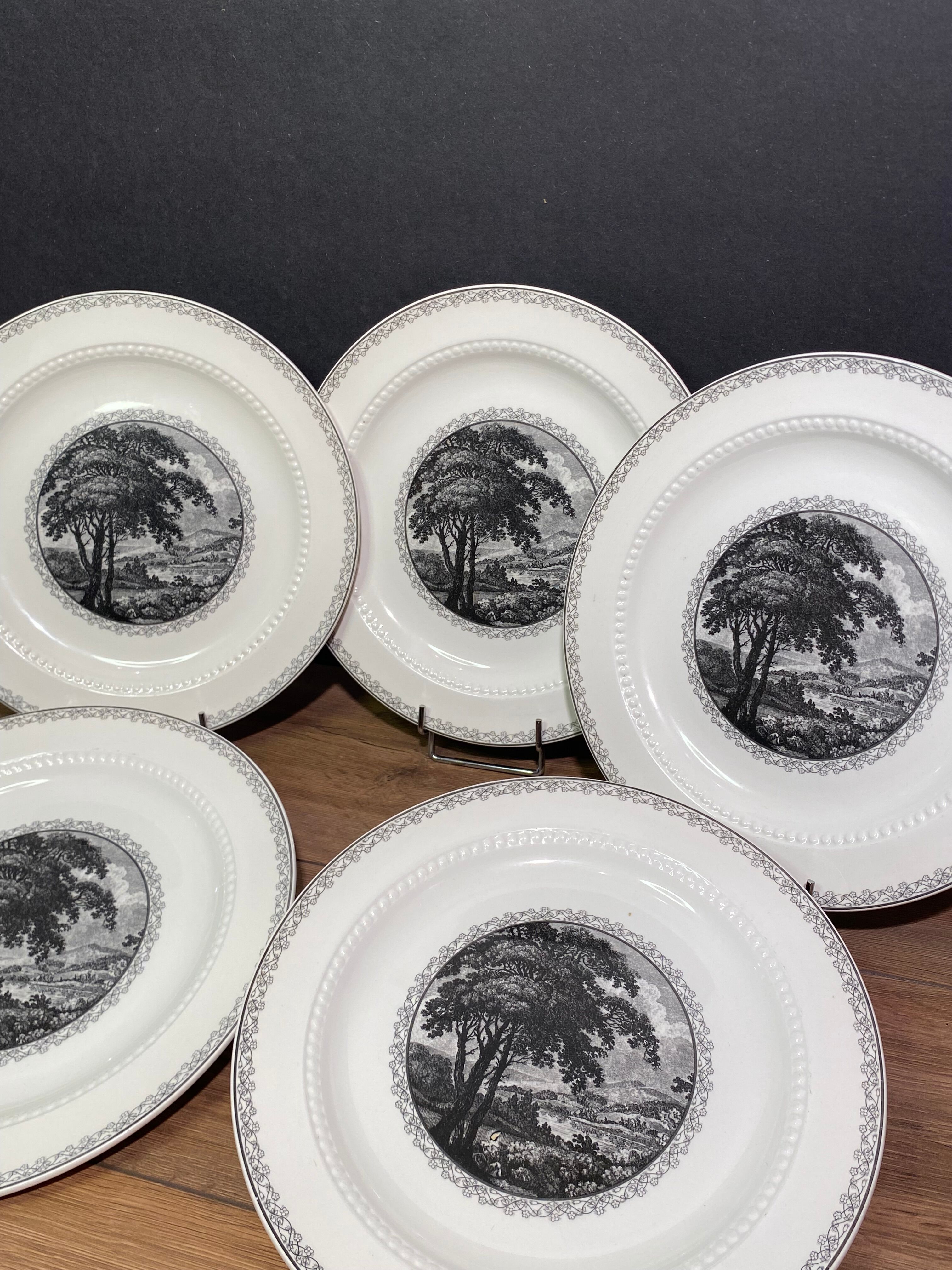 Suite of 5 large English ceramic plates Royal Cauldon Bristol Ironstone "Scenario"