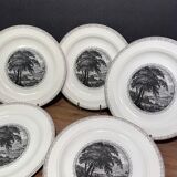 Suite of 5 large English ceramic plates Royal Cauldon Bristol Ironstone "Scenario"
