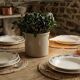 Set of 6 deep plates - Holly Model - HB&M Earthenware - 1900