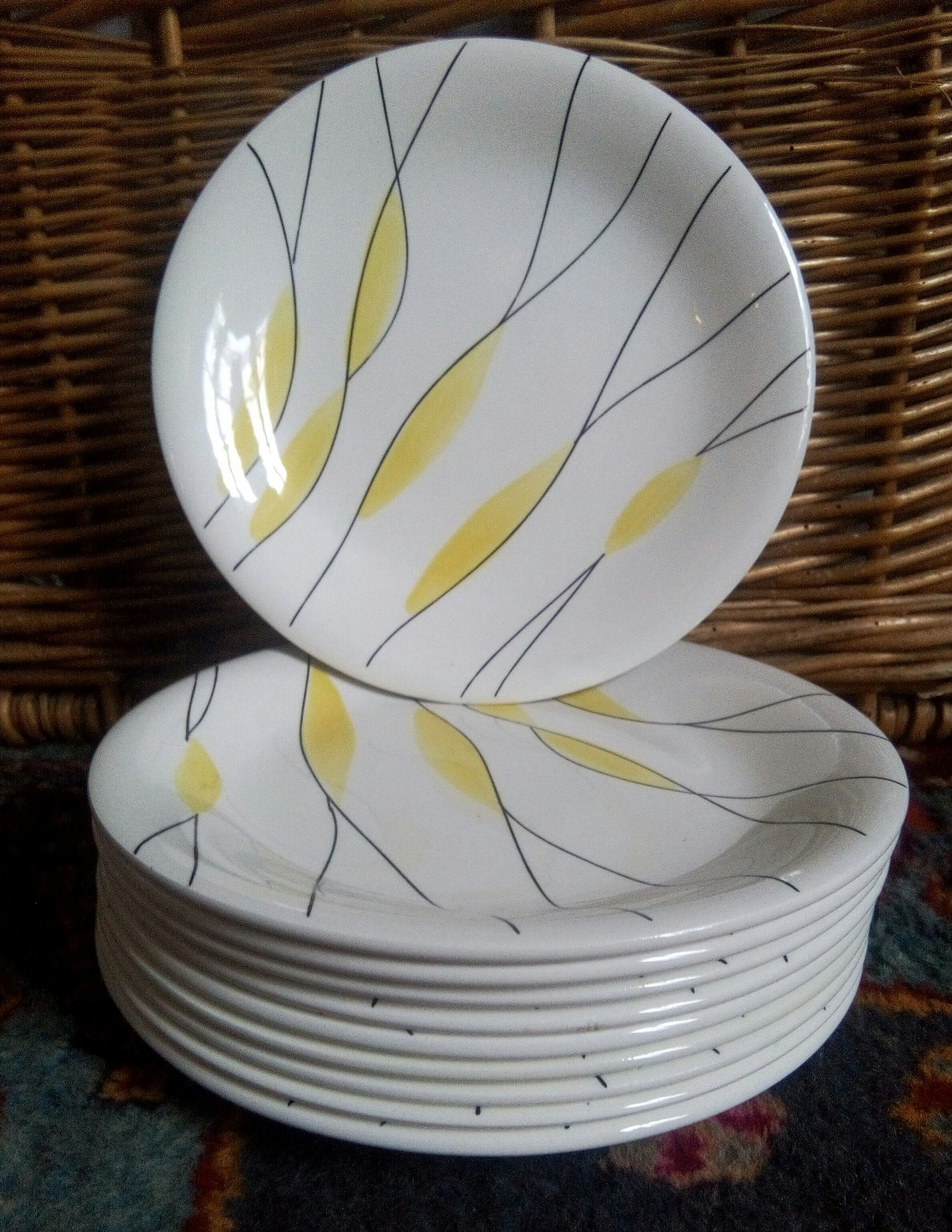 Salins "Moonlight" plates