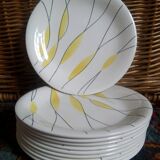 Salins "Moonlight" plates