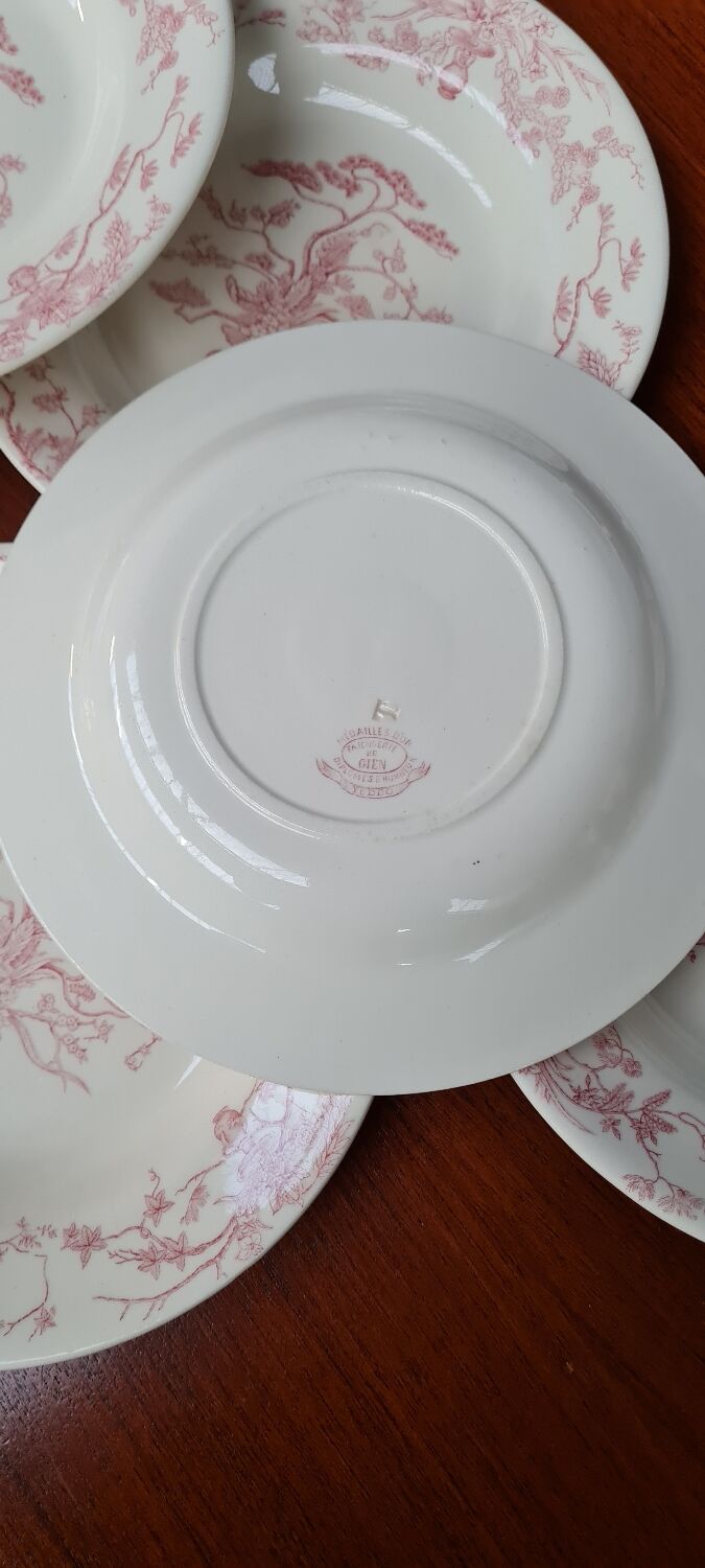 Service of 7 plates in iron earth