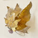 Grape brass wall light