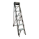 Painter's step ladder