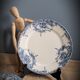 Set 4 Plates Dolphin