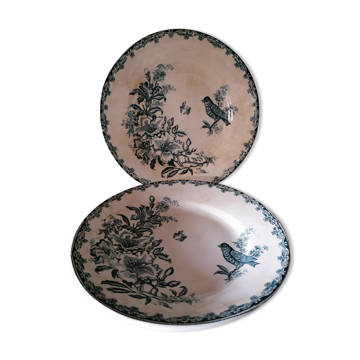 Pair of plates Iron Land model Bengali