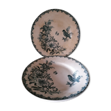 Pair of plates Iron Land model Bengali