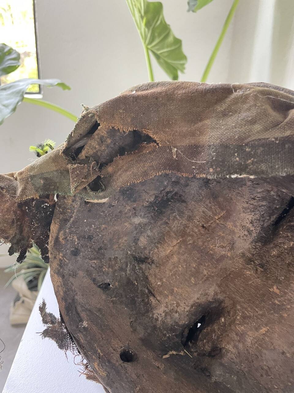 Bété Nyabwa mask Ivory Coast