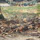 Paul Schaan (1857-1924): The Medici Fountain in the Luxembourg Gardens. Oil on canvas