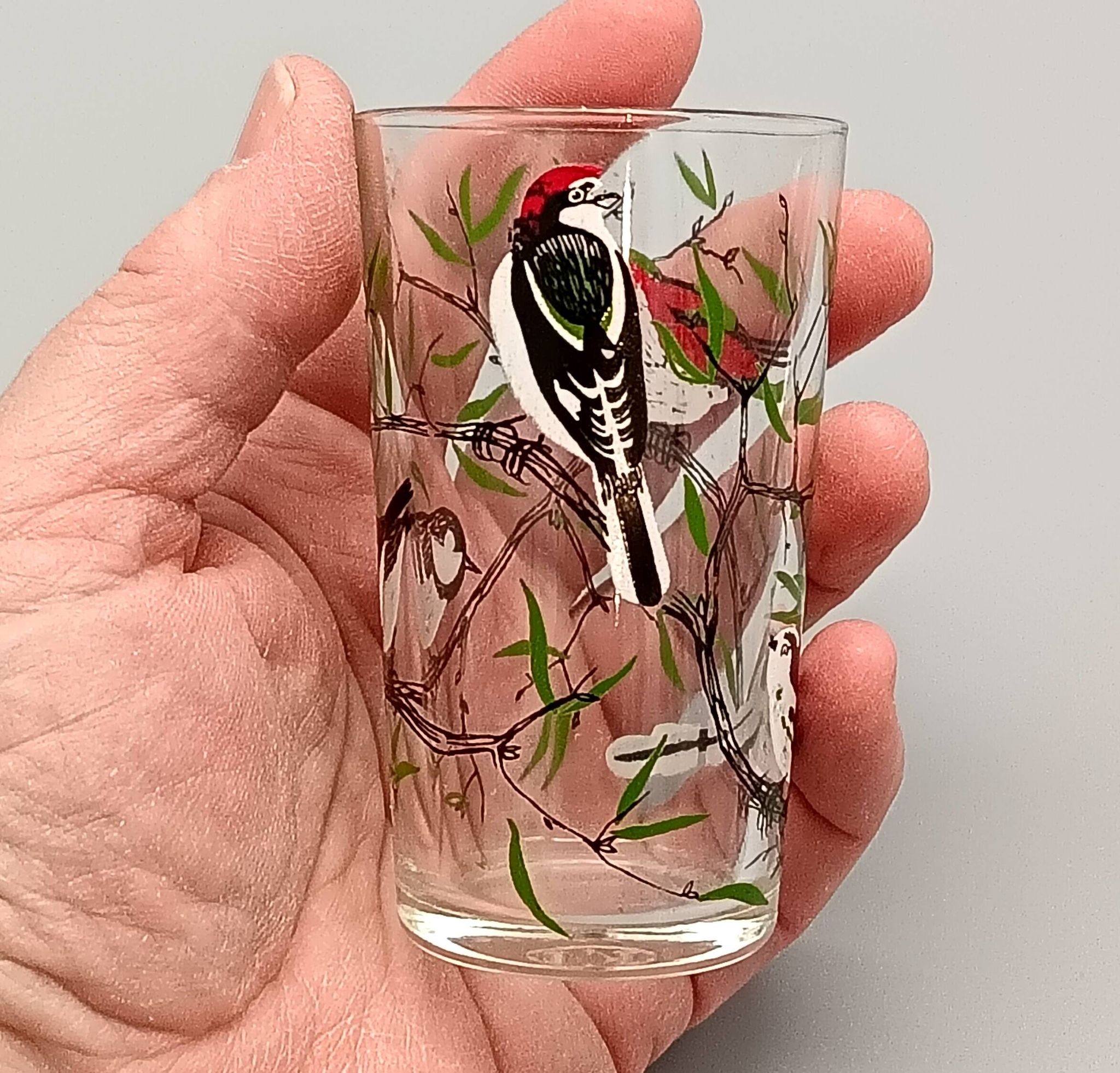 5 verres à décor d'oiseaux sérigraphiés, 1960-1970