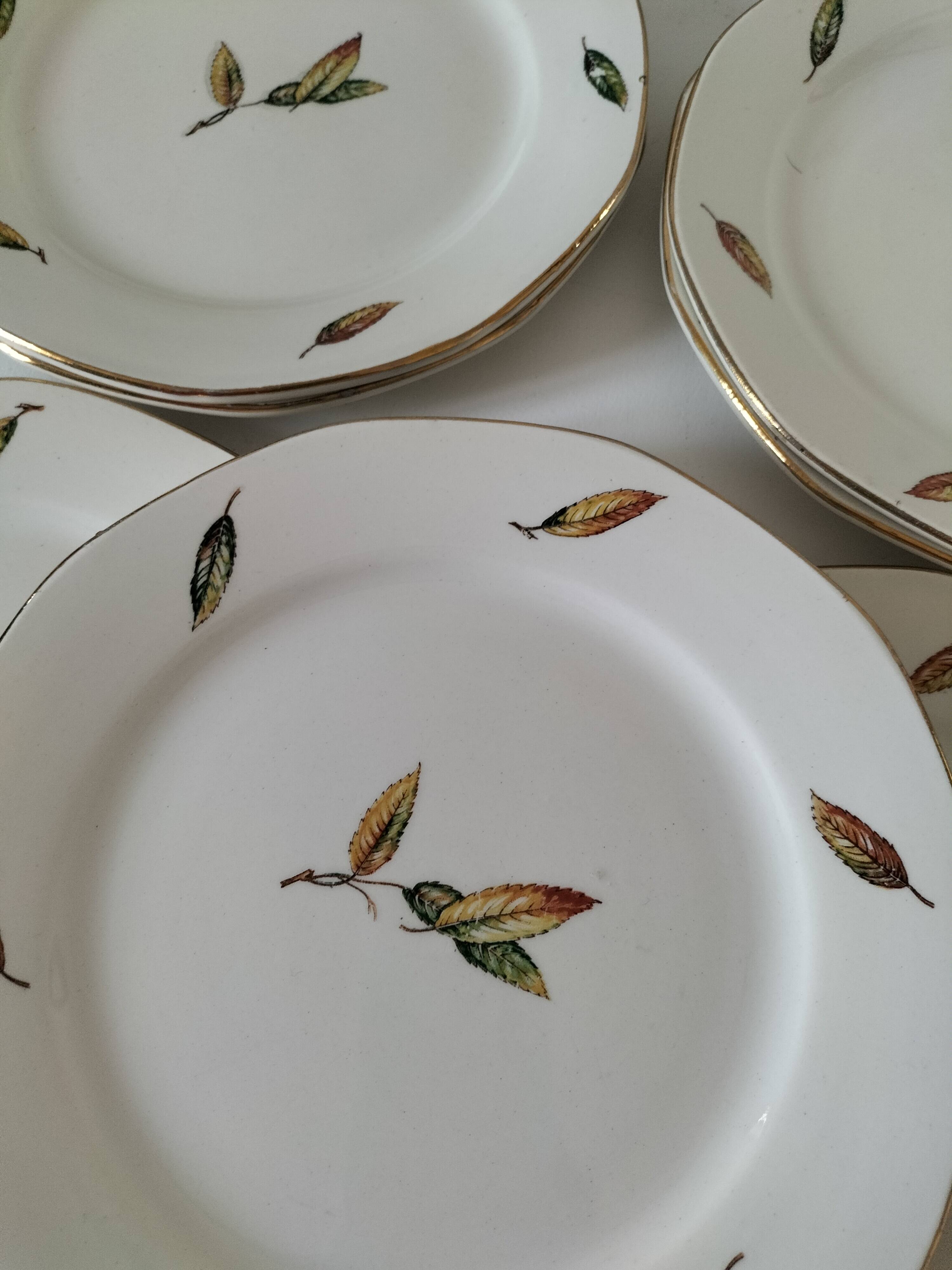 Digoin Sarreguemines Nemours Model Plates.