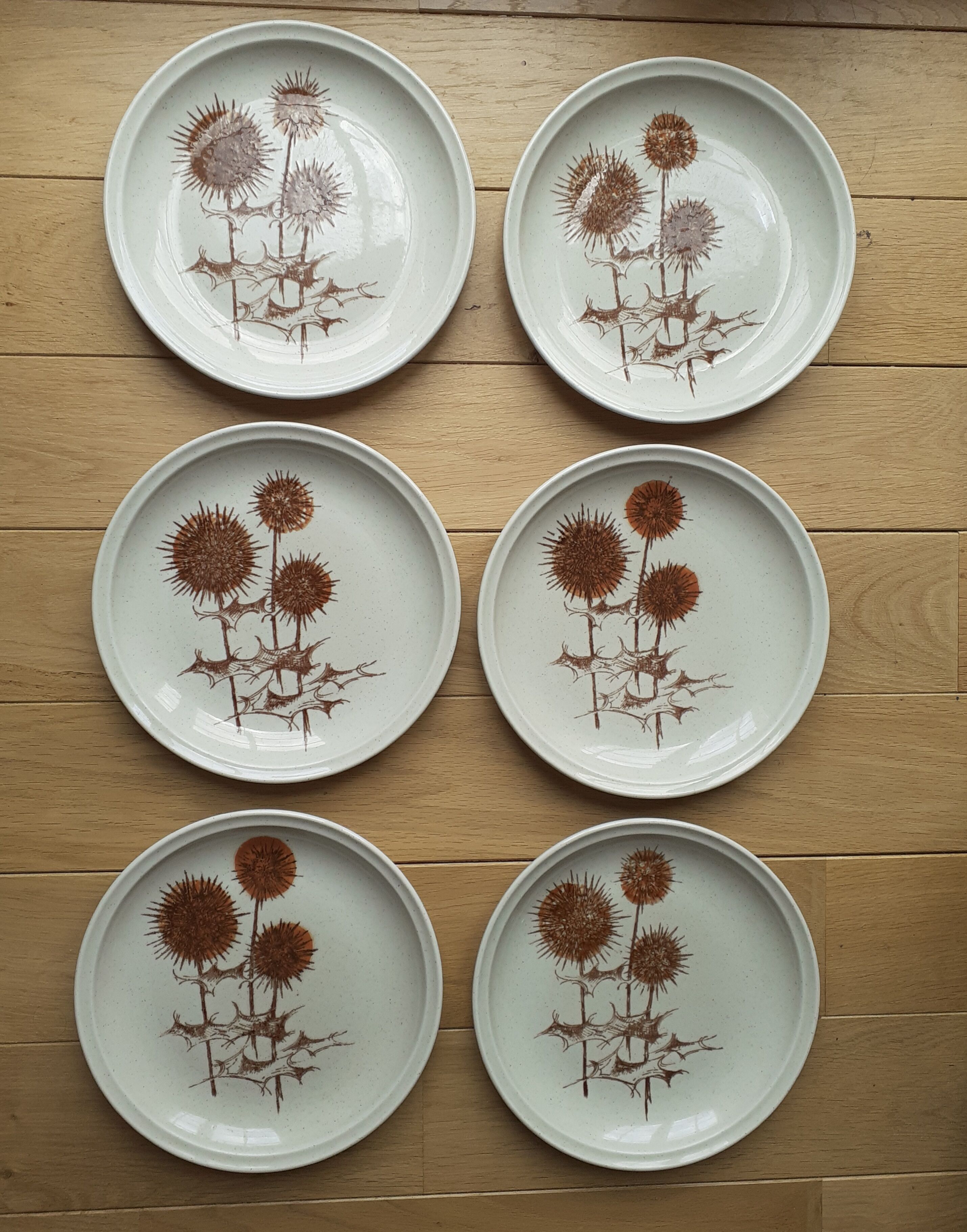 6 assiettes en grès Sarreguemines motif "chardons"