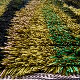 Green scandinavian modernist design wool rya rug woven handmade vintage 1960s