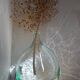 Transparent 5L demijohn