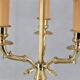 Empire style bronze hot water bottle lamp "Col de Cygnes"