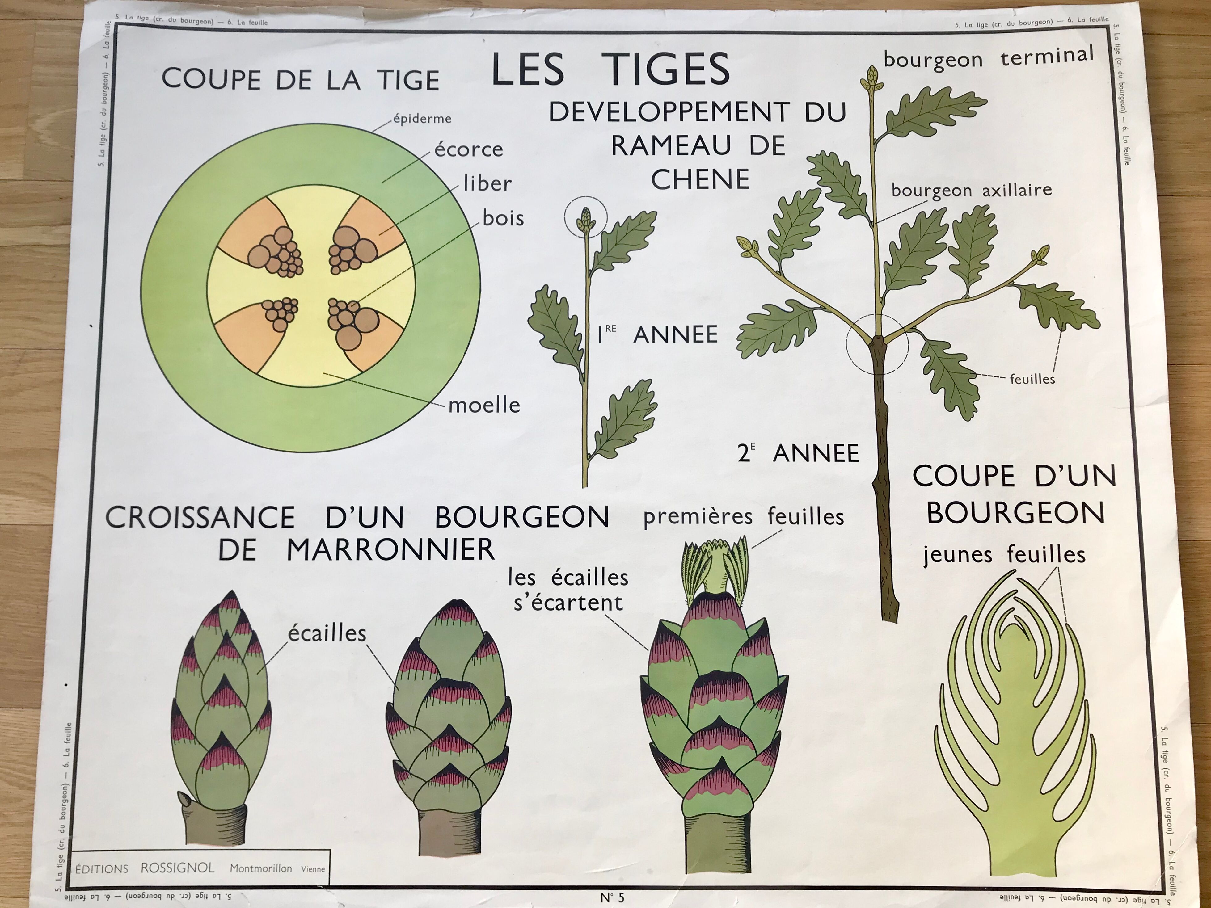 Rossignol pedagogical poster