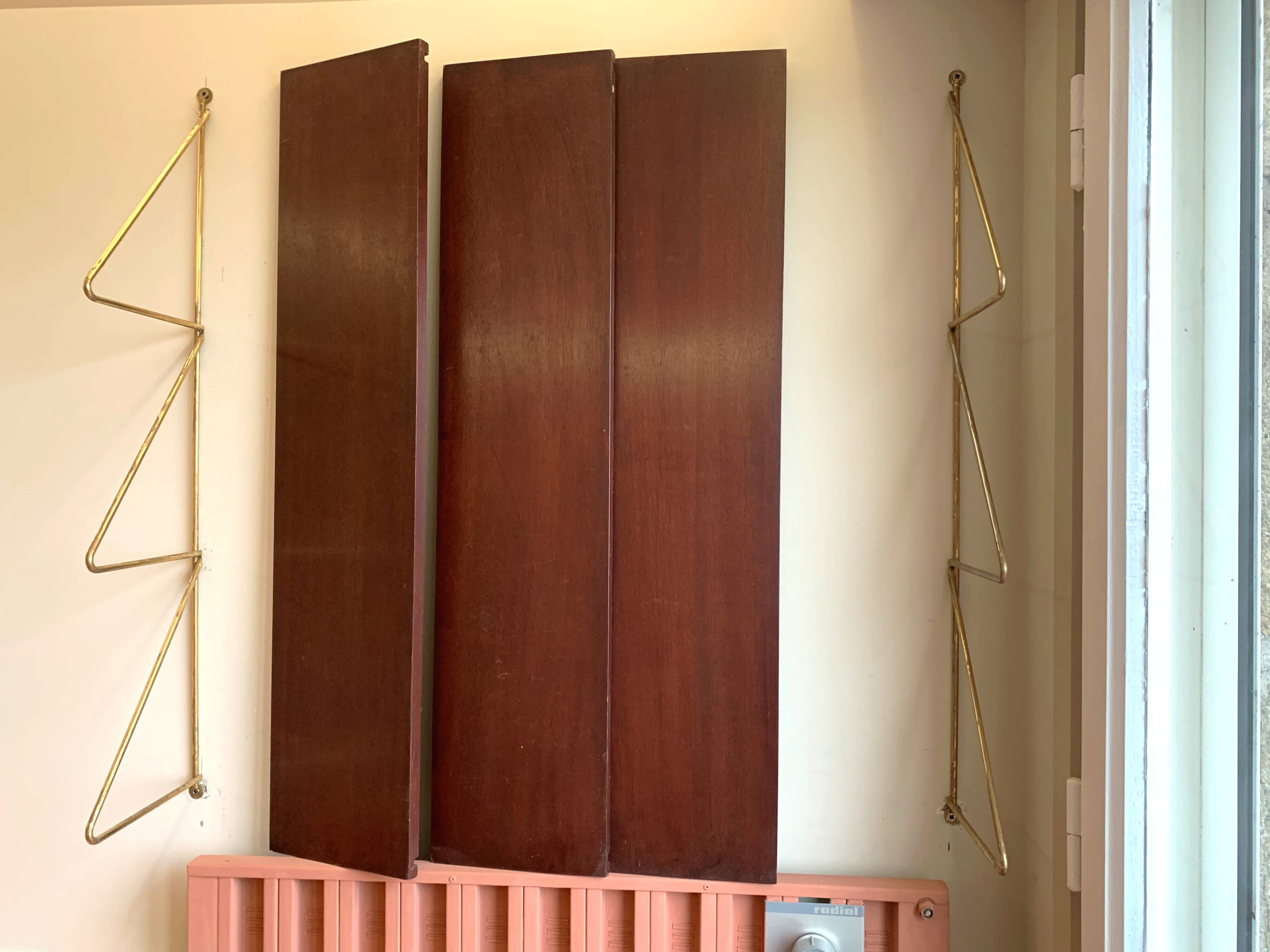 Scandinavian wall-mounted bookcase with floating rosewood shelves, period