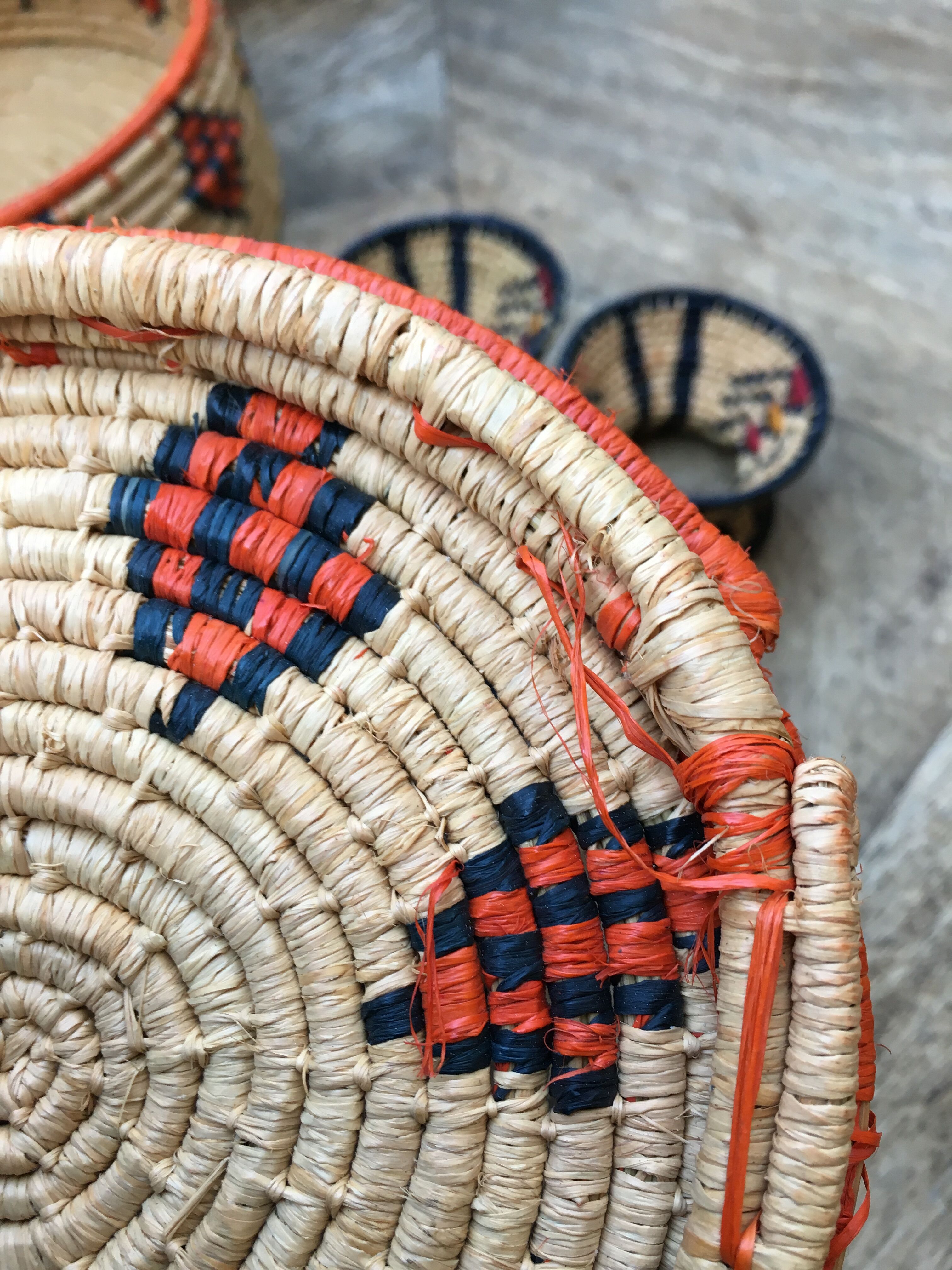 African lidbox and raffia cockroaches