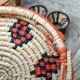African lidbox and raffia cockroaches