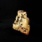 Chinese soapstone or steatite inkwell vase with floral decoration, late 19th century
